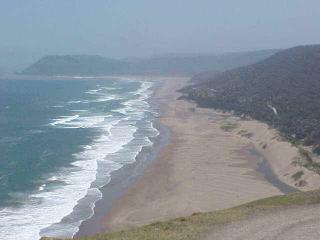 Copy of long_beach.jpg